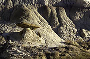 De-Na-Zin New Mexico